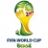 2014 World Cup
